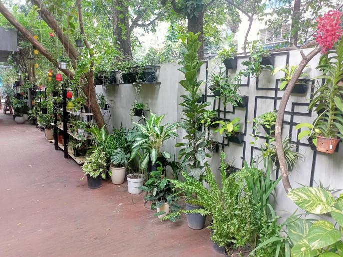 ইকেবানা এক্সপেরিয়েন্স সেন্টার : ফুলের বাড়ি, গাছের বাড়ি